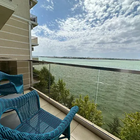 Lake View Solid *